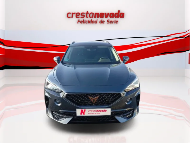 Imagen de cupra Formentor