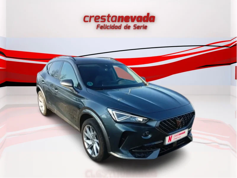 Imagen de cupra Formentor