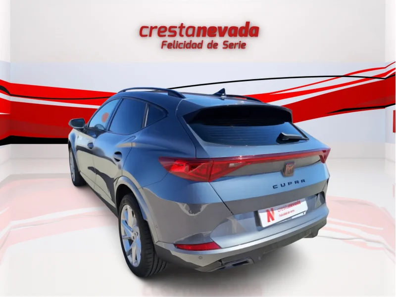 Imagen de cupra Formentor