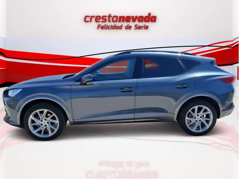 Imagen de cupra Formentor