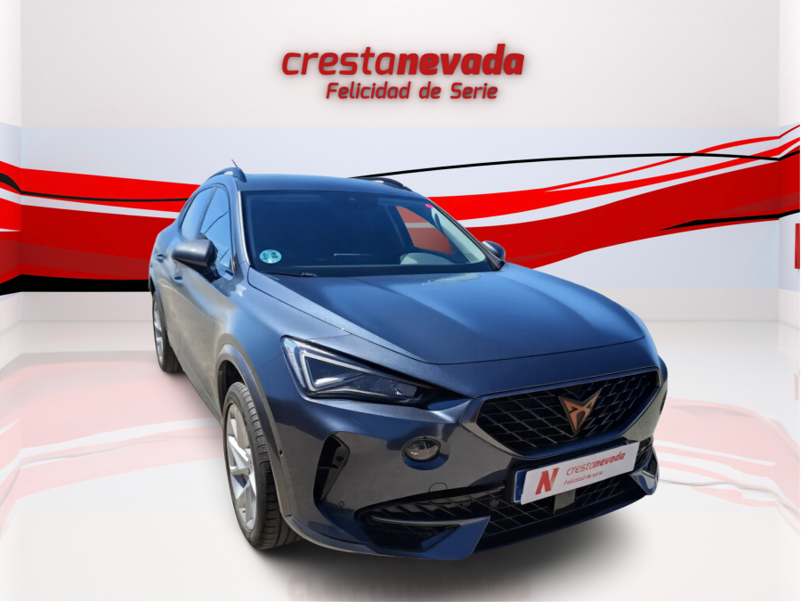 Imagen de cupra Formentor