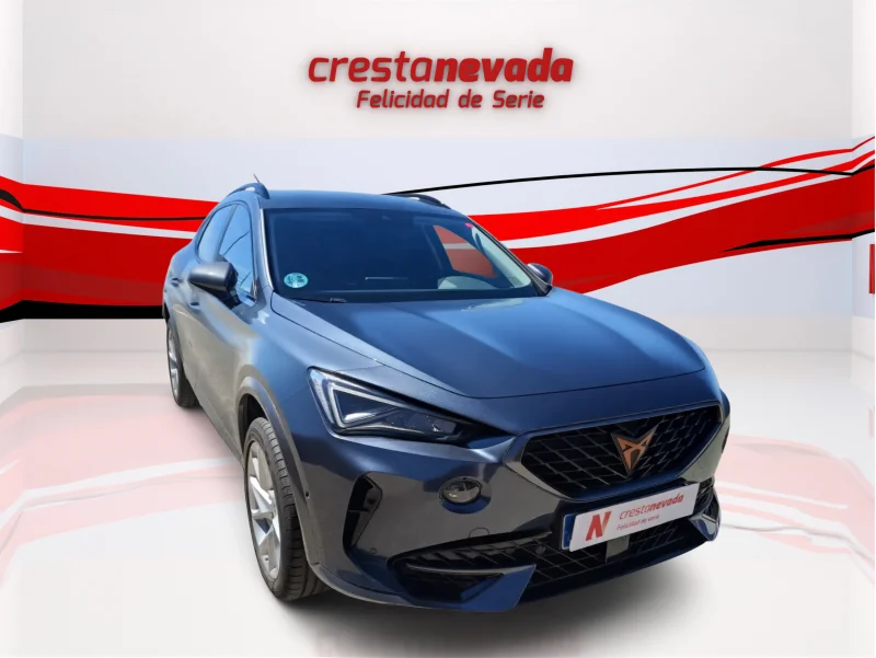 Imagen de cupra Formentor