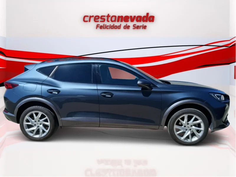 Imagen de cupra Formentor