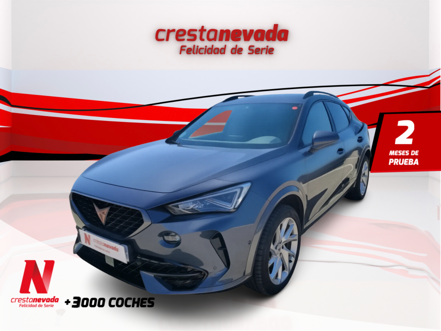 Imagen de cupra Formentor