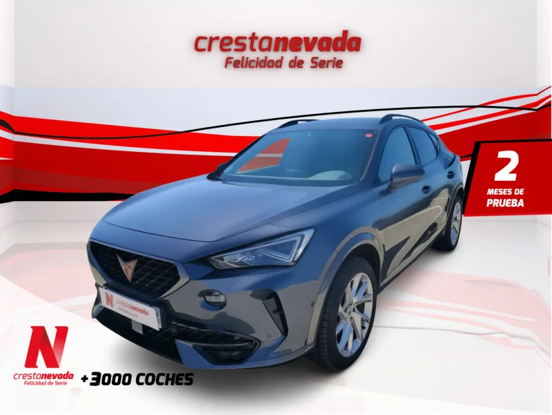 Imagen de cupra Formentor