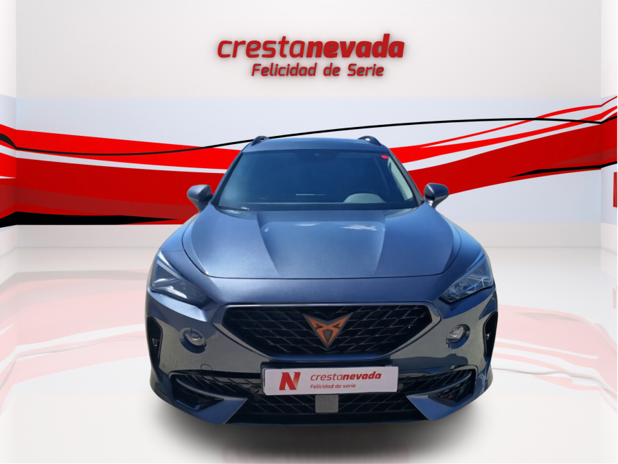 Imagen de cupra Formentor