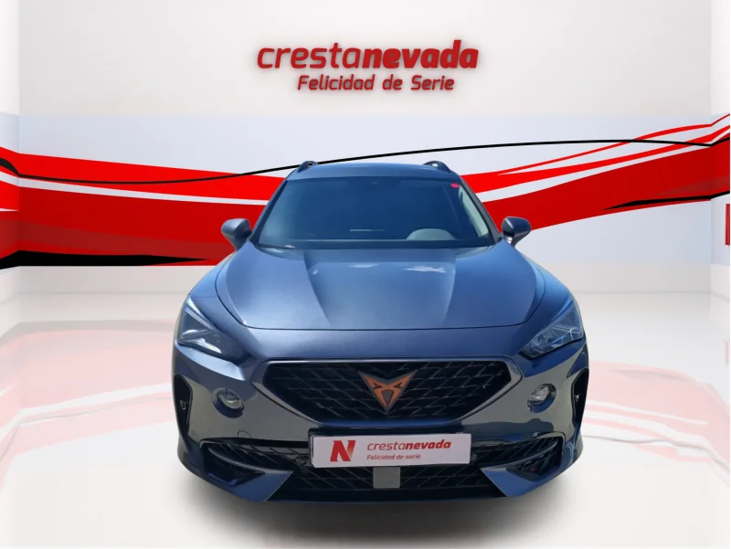 Imagen de cupra Formentor