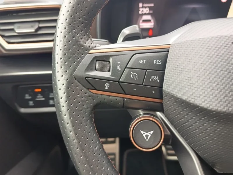 Imagen de cupra Formentor