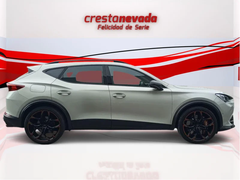 Imagen de cupra Formentor