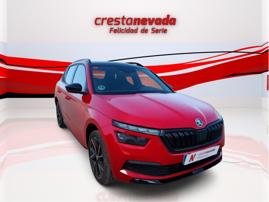 Imagen de Skoda Kamiq