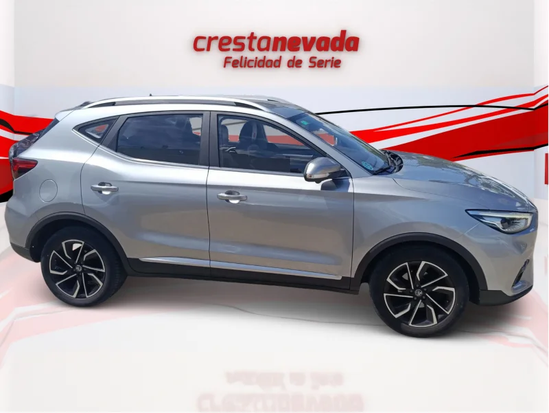 Imagen de Mg ZS