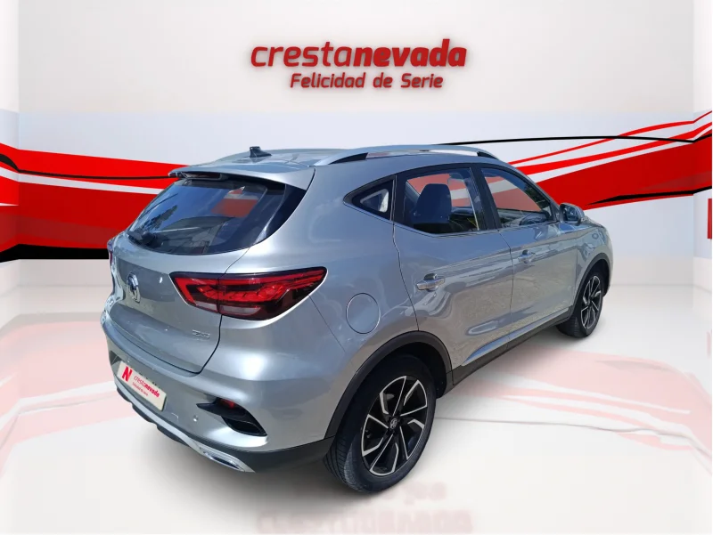 Imagen de Mg ZS