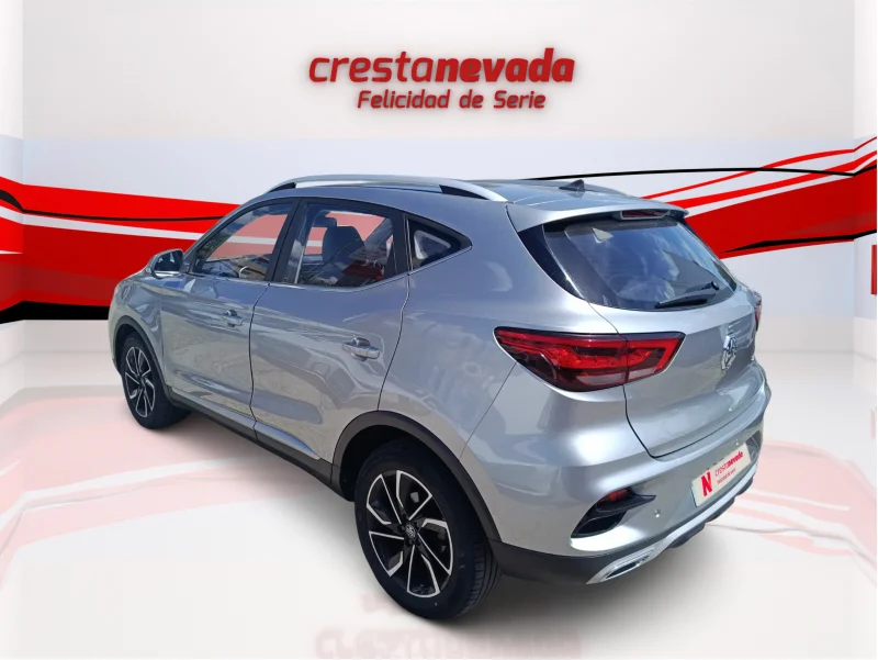 Imagen de Mg ZS