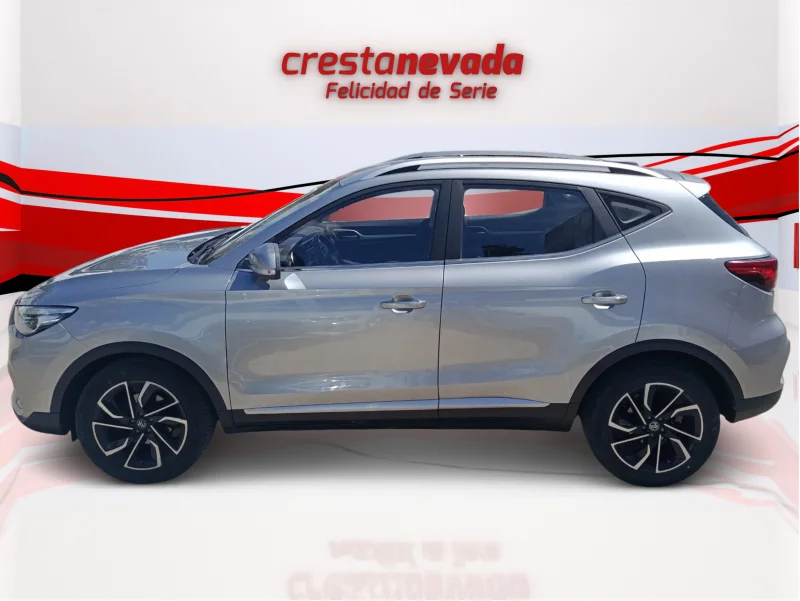 Imagen de Mg ZS