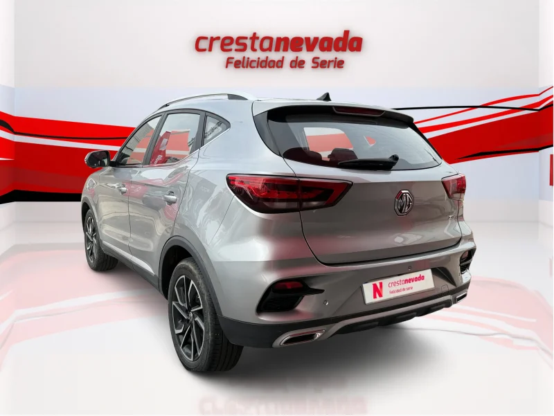 Imagen de Mg ZS