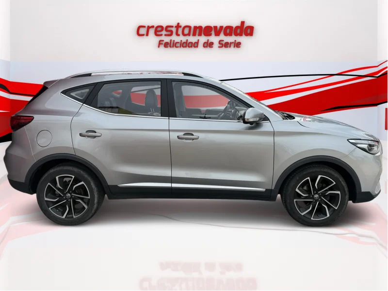 Imagen de Mg ZS