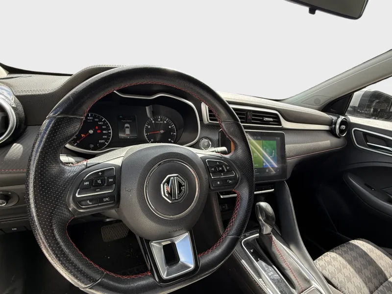 Imagen de Mg ZS