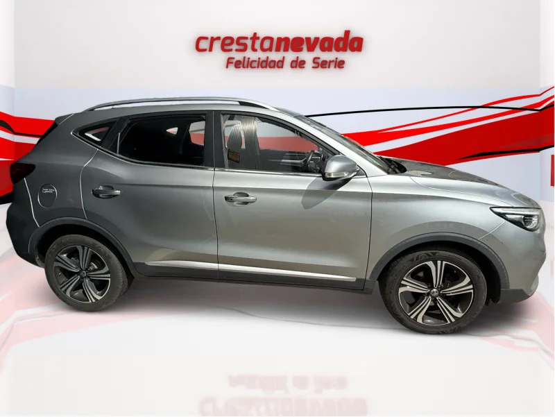 Imagen de Mg ZS