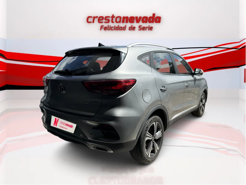 Imagen de Mg ZS