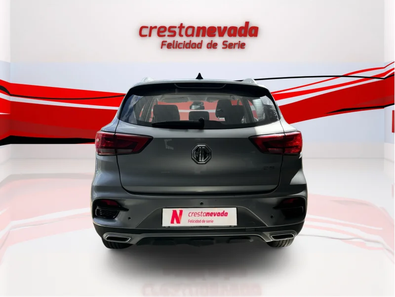 Imagen de Mg ZS