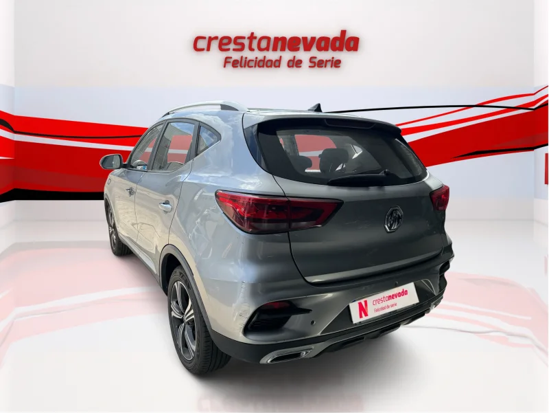 Imagen de Mg ZS