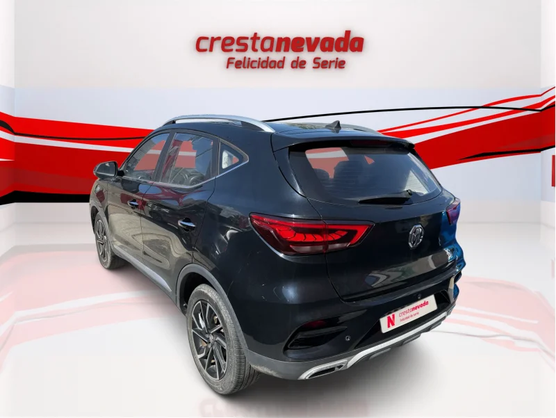 Imagen de Mg ZS