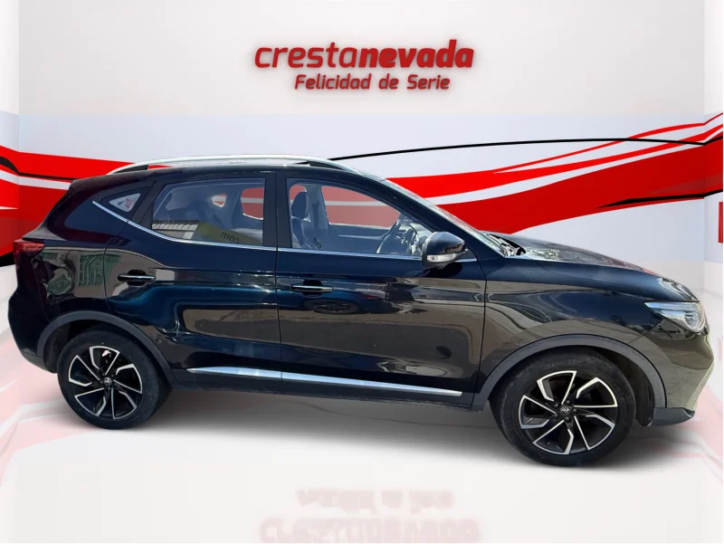 Imagen de Mg ZS