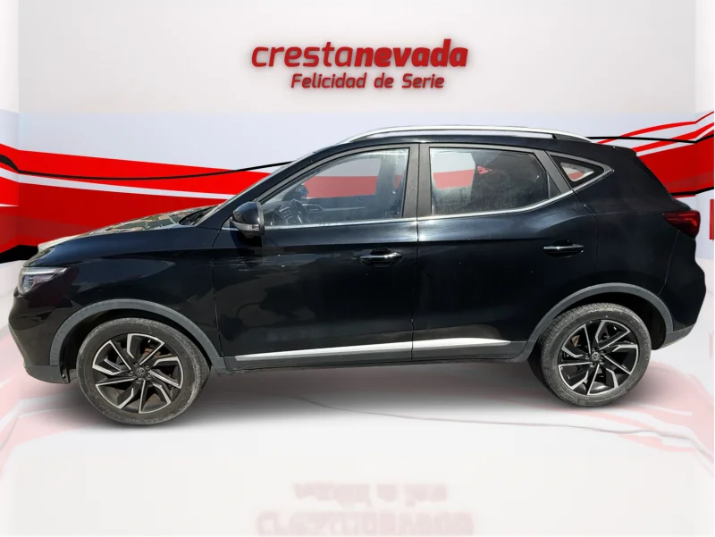 Imagen de Mg ZS