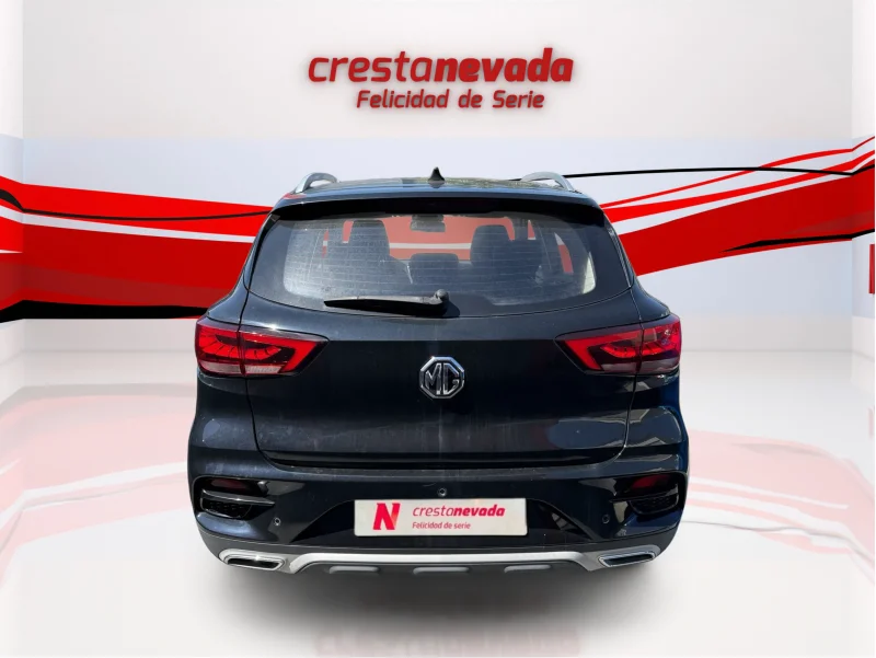 Imagen de Mg ZS
