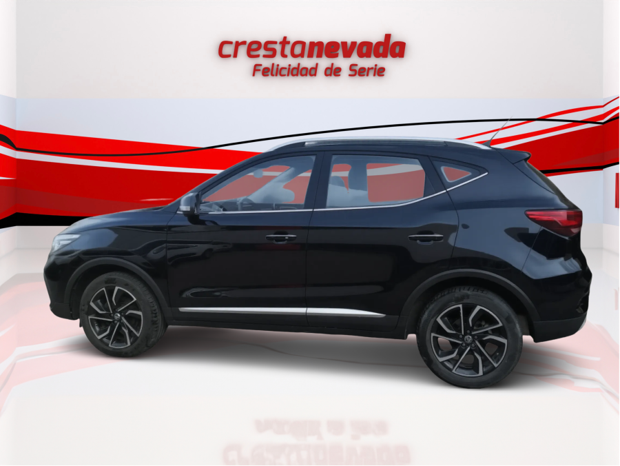 Imagen de Mg ZS
