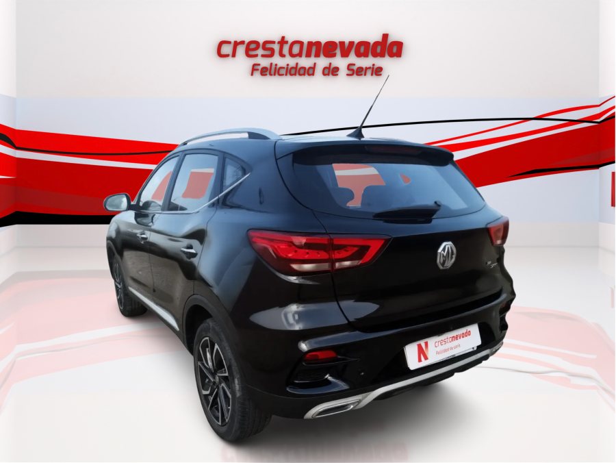 Imagen de Mg ZS