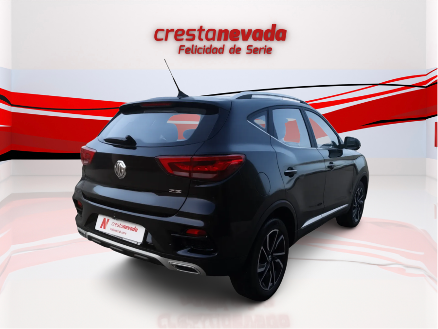 Imagen de Mg ZS