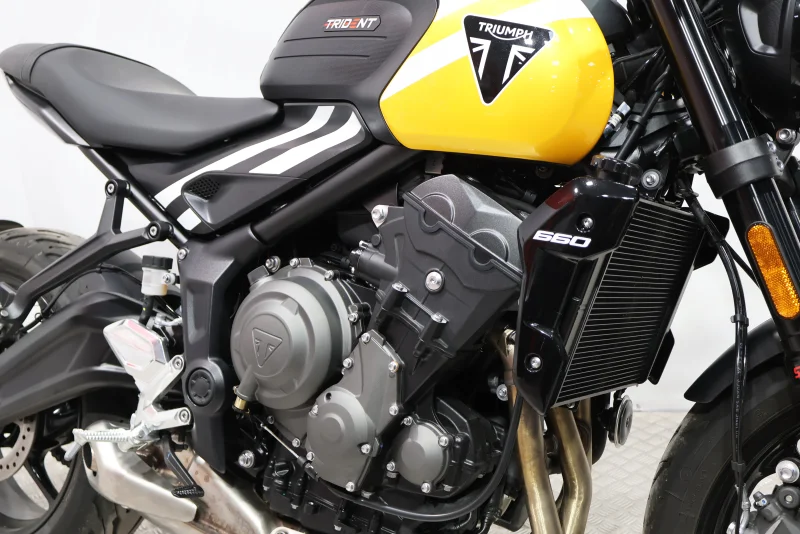 Imagen de Triumph TRIDENT 660 