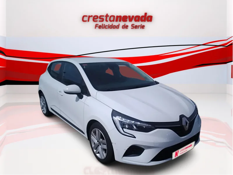 Imagen de Renault Clio