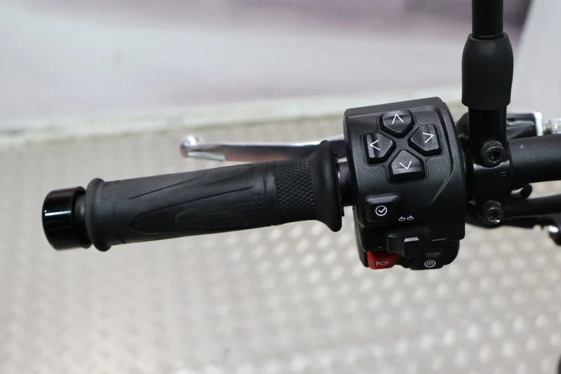 Imagen de Triumph TRIDENT 660 A2