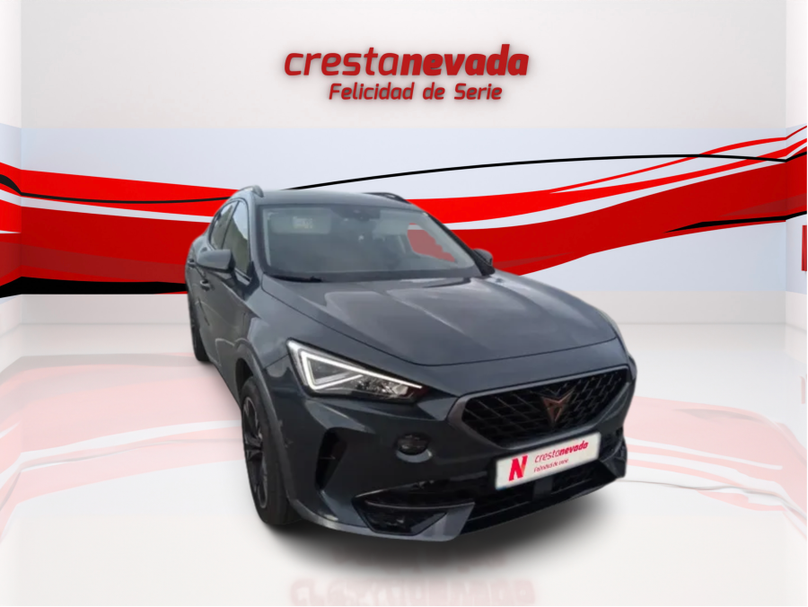 Imagen de cupra Formentor