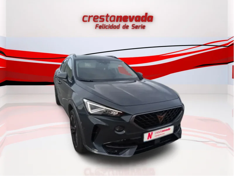 Imagen de cupra Formentor