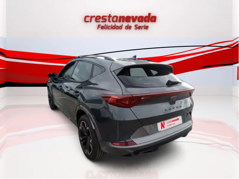 Imagen de cupra Formentor