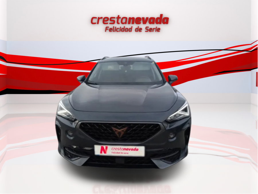 Imagen de cupra Formentor