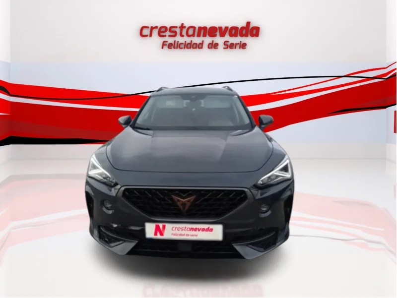 Imagen de cupra Formentor