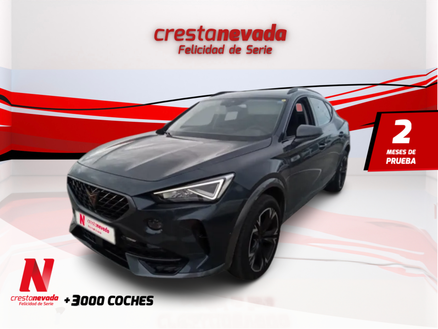 Imagen de cupra Formentor