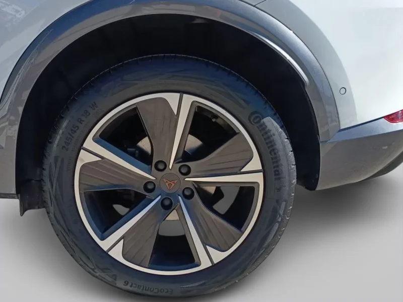 Imagen de cupra Formentor