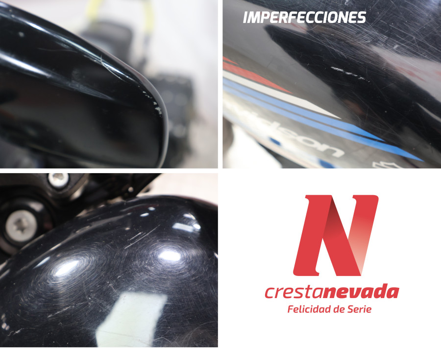 Imagen de Harley-Davidson IRON 1200
