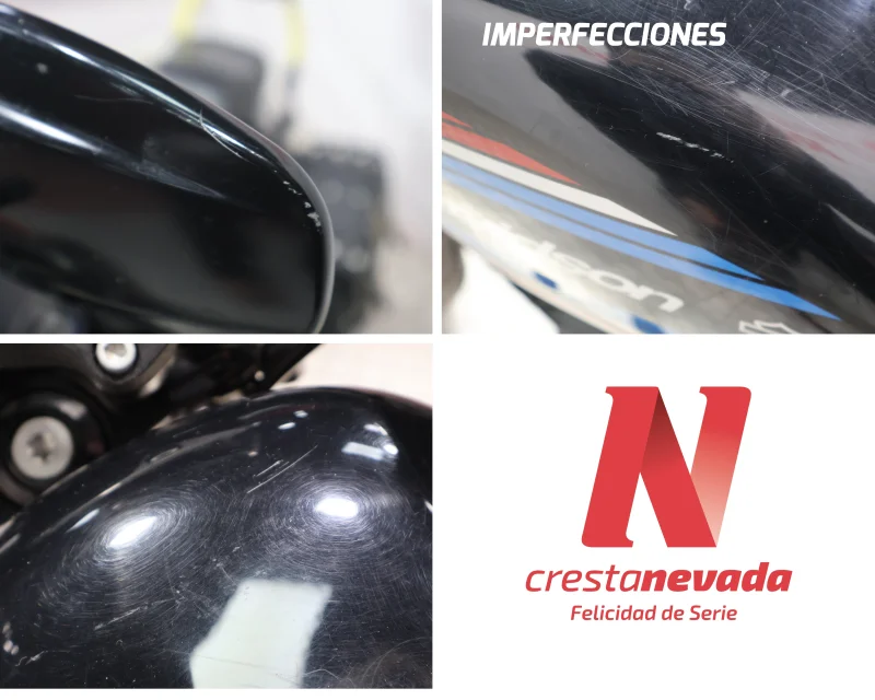 Imagen de Harley-Davidson IRON 1200