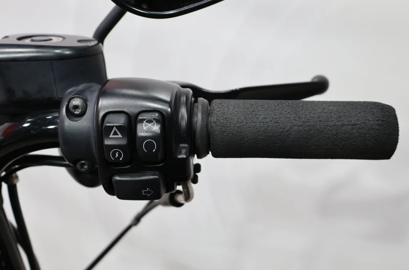 Imagen de Harley-Davidson IRON 1200