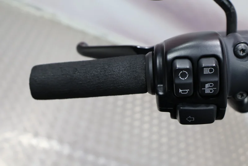 Imagen de Harley-Davidson IRON 1200