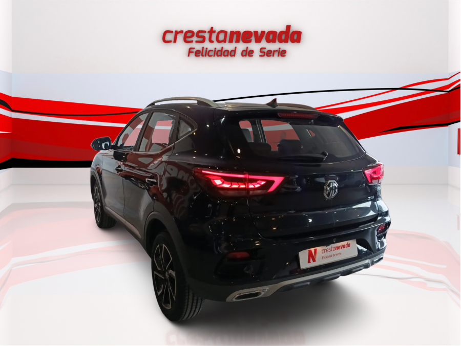 Imagen de Mg ZS