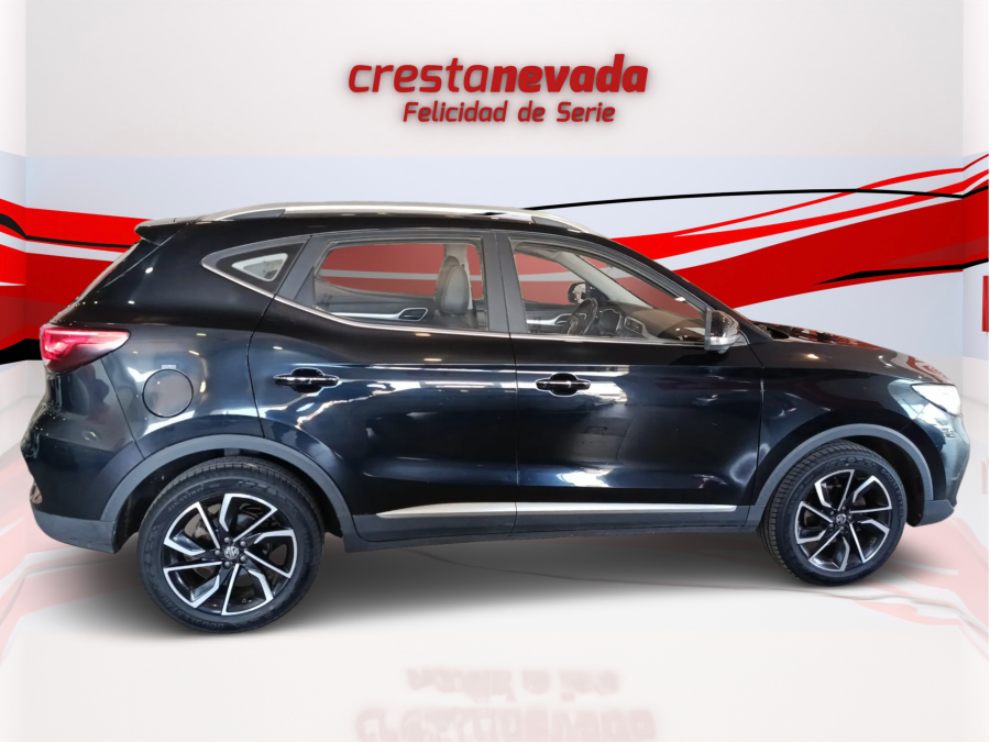Imagen de Mg ZS