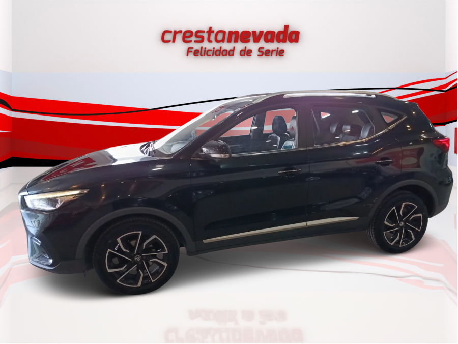 Imagen de Mg ZS