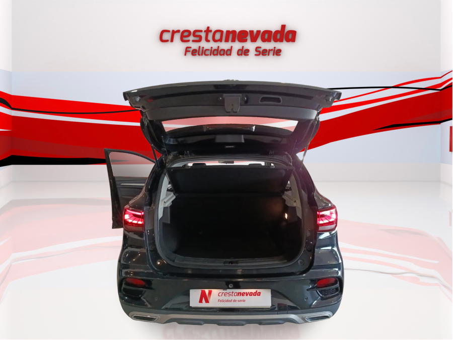Imagen de Mg ZS